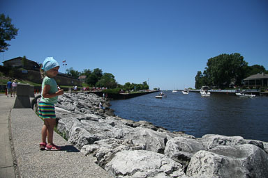 2011